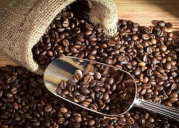 Different Coffee Roasting Processes