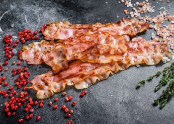 Organic Bacon – The Healthiest Alternative to Regular Bacon