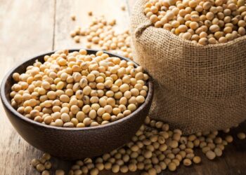 Soy Protein Powder – The Ultimate Guide To Buying