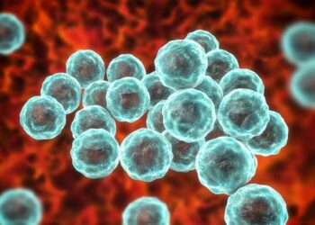 Thursday’s Daily Brief: STIs global, food protection and food prices, updates on Iraq and East Africa