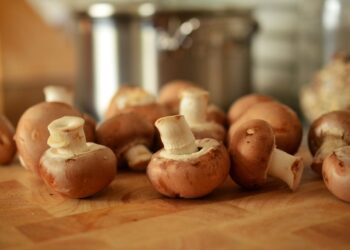 The Superfood Revolution You Need to Know – Mushroom Powder