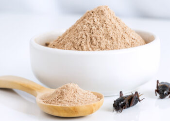 Acheta Powder: The New Superfood Craze