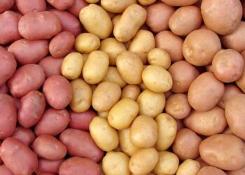 Delicious Russet Potato Recipes for Every Meal