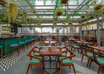 Omega XL Reviews: The Ultimate Guide to Joint Health