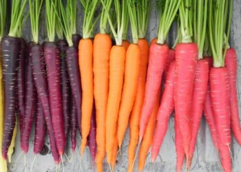 The Power of Black Carrot: A Nutritious and Vibrant Superfood
